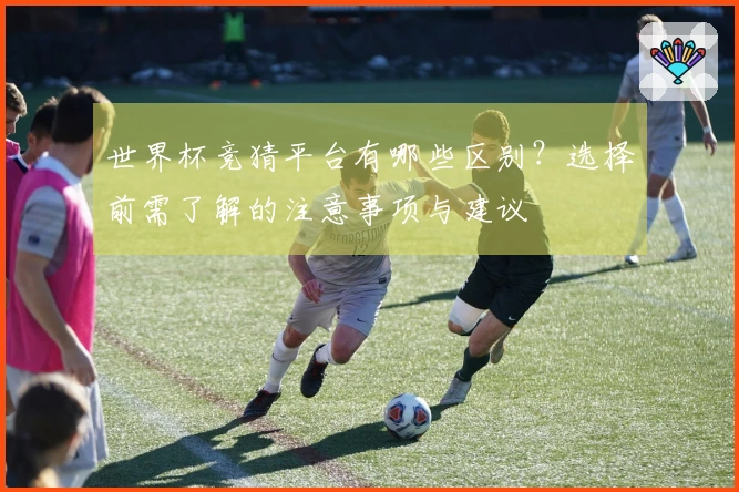 世界杯竞猜平台有哪些区别？选择前需了解的注意事项与建议