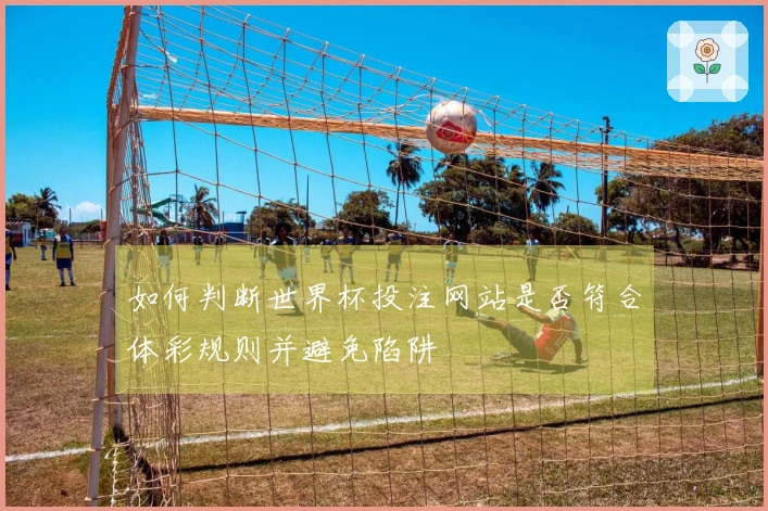 如何判断世界杯投注网站是否符合体彩规则并避免陷阱