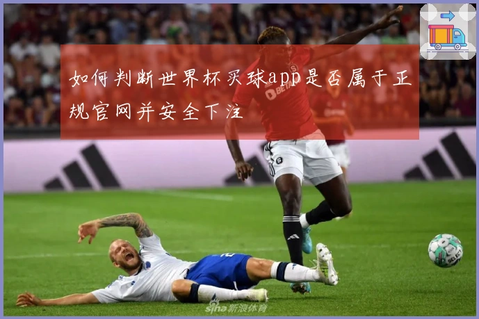 如何判断世界杯买球app是否属于正规官网并安全下注