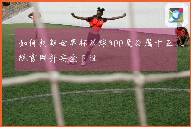 如何判断世界杯买球app是否属于正规官网并安全下注