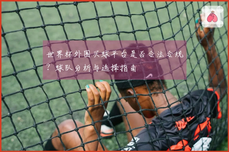 世界杯外围买球平台是否合法合规？球队分析与选择指南